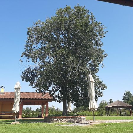 Corte All'Olmo Verona Eksteriør billede